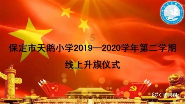 救援袋鼬